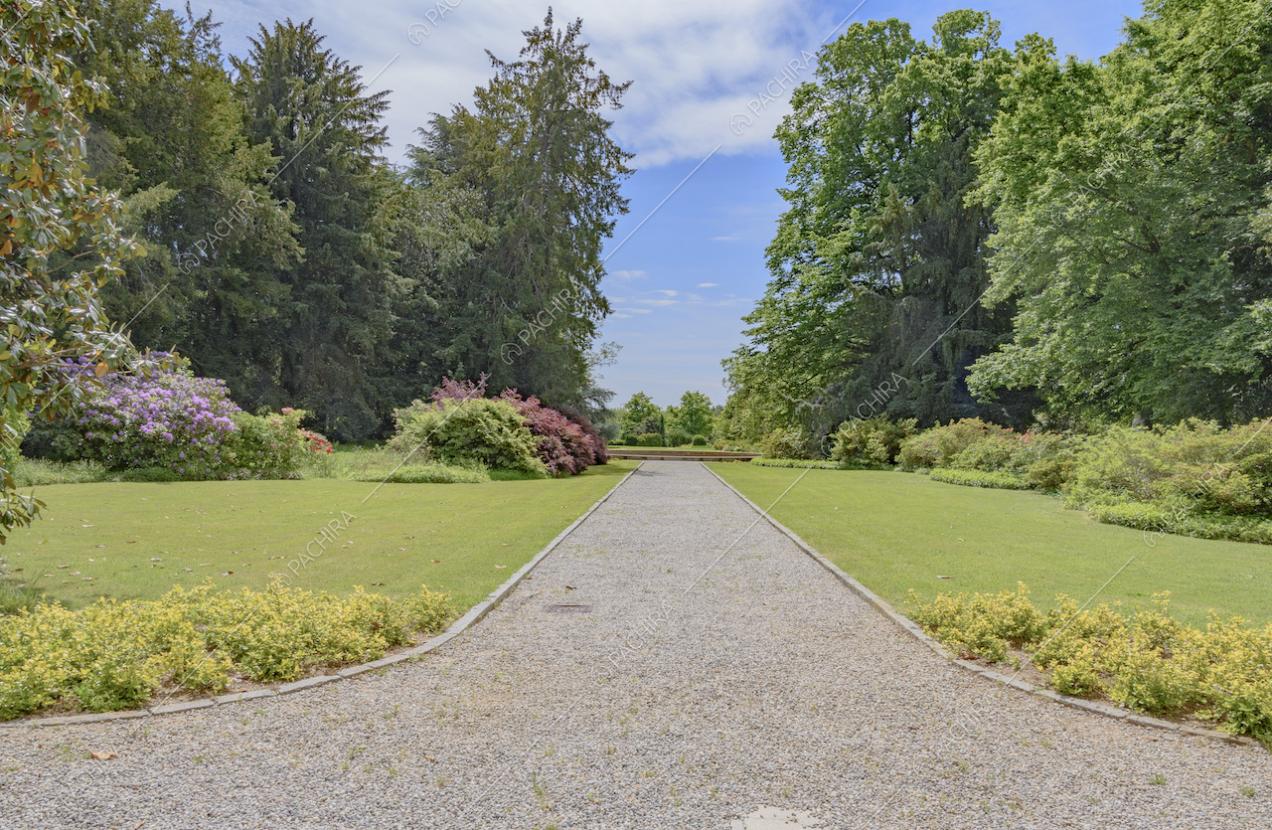 Viale di collegamento tra la villa e il parco privato