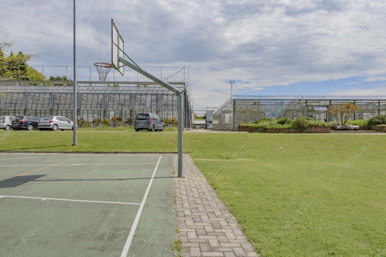 Canestro da basket nel campo all'aperto e parcheggio