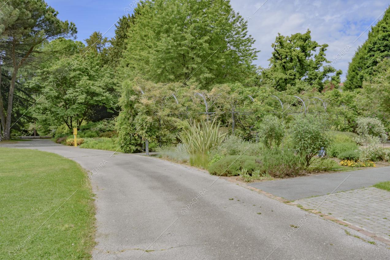 Viale tra la vegetazione del giardino della Location Lonicera