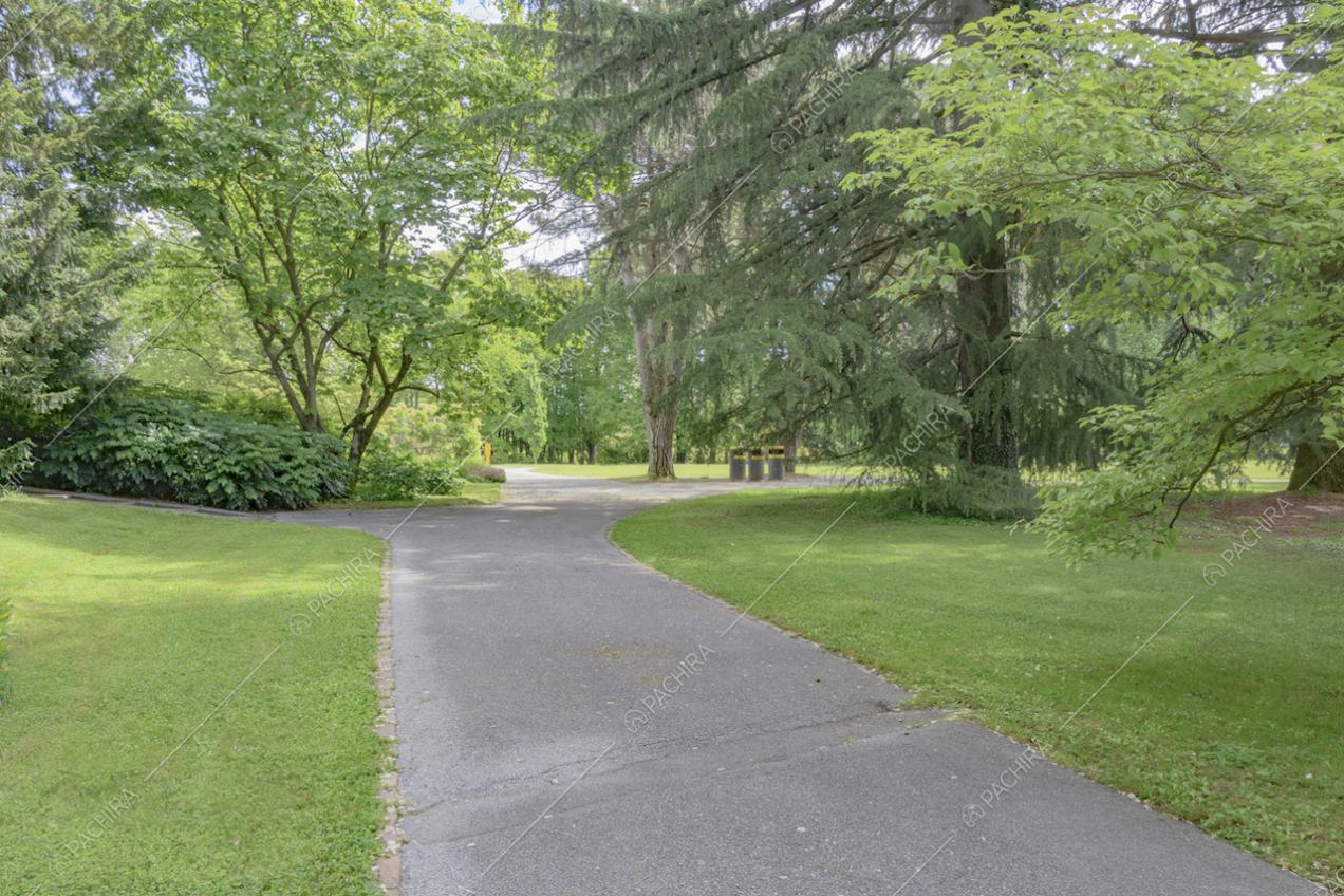 Viale che attraversa il parco e alberi imponenti
