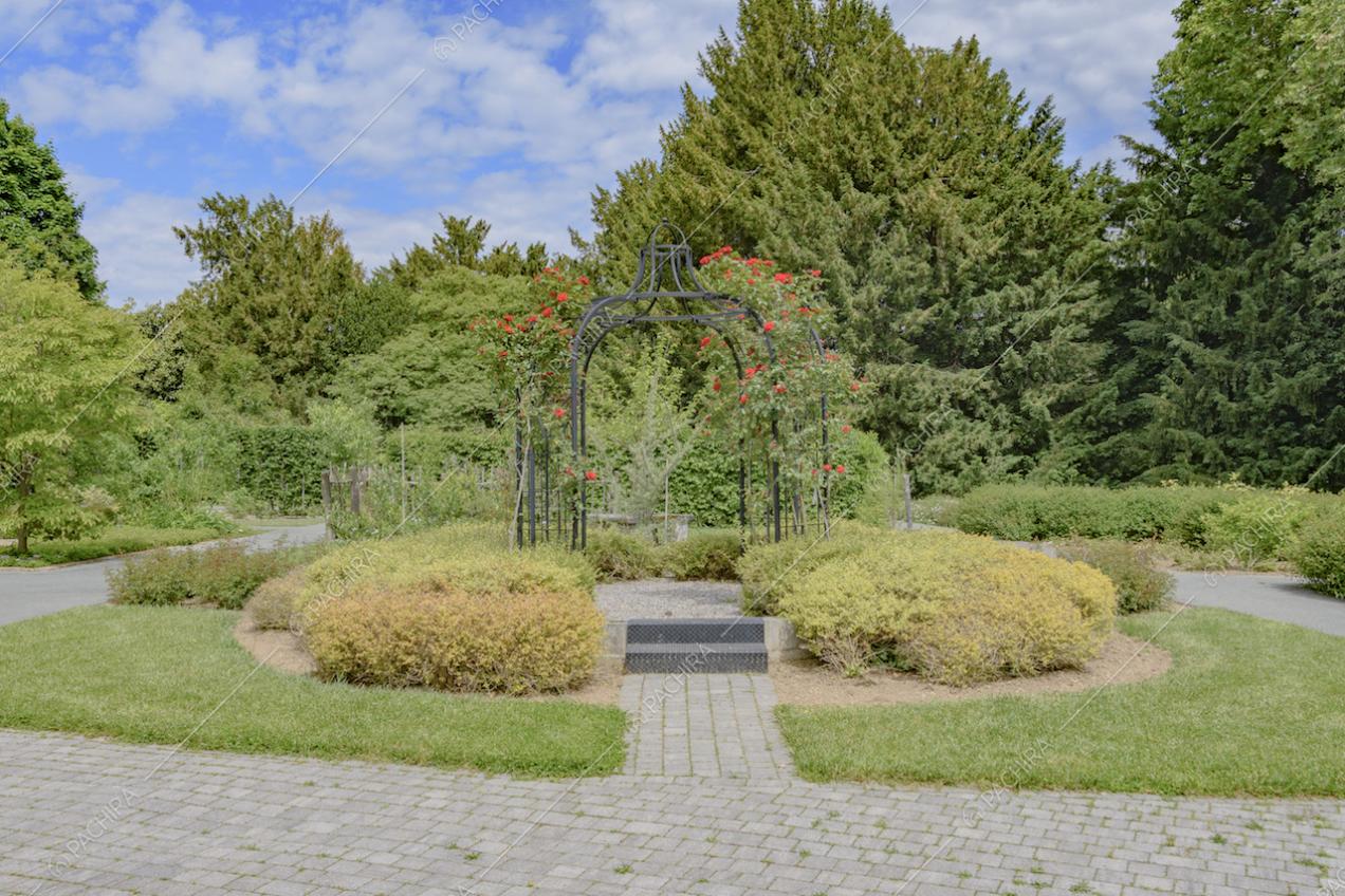 Gazebo in ferro con rose rampicanti