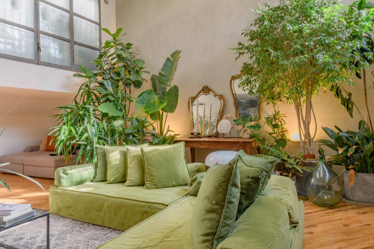 Divano verde angolare nel salotto con pavimento in parquet e pareti grigie