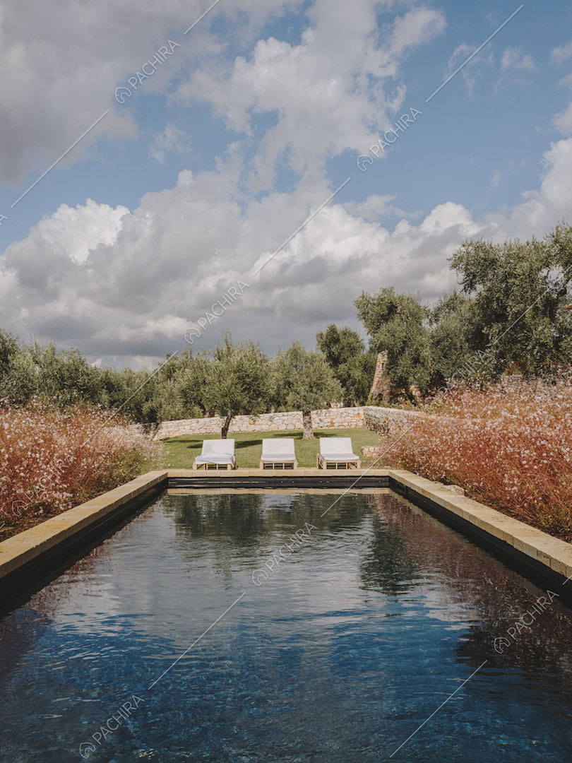 Grande piscina nel giardino della location
