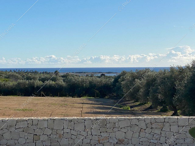 Dal giardino della location vista sulla natura circostante e sul mare