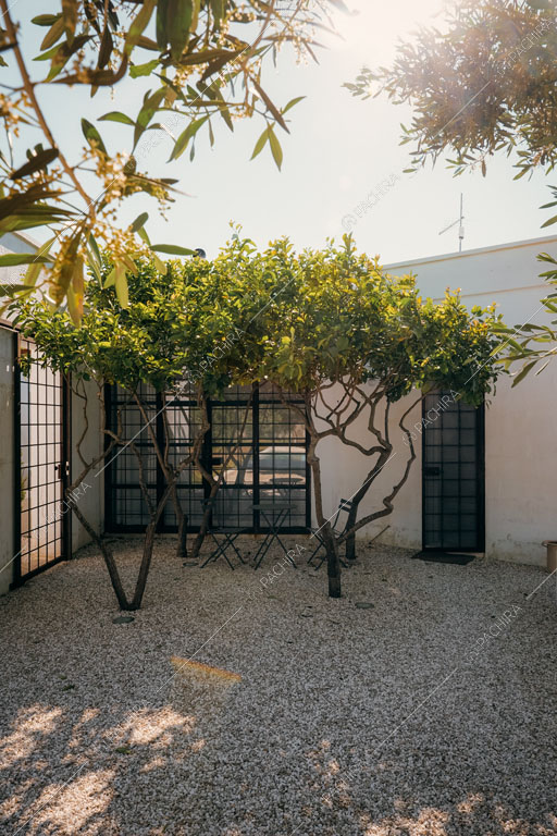 Girdino con piante della masseria Ryn, location in stile contemporaneo a Brindisi