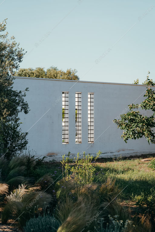 Giardino con vista sulle mura bianche della masseria Ryn, location in stile contemporaneo a Brindisi