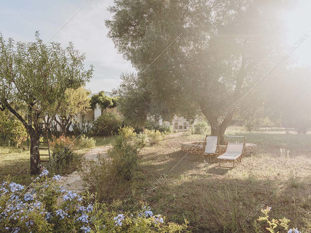 Parco della masseria Giava, location in stile rustico a Brindisi