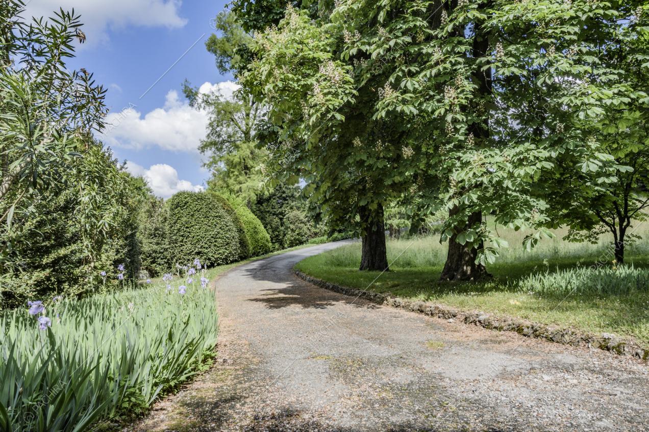 Alberi e piante che circondano la villa