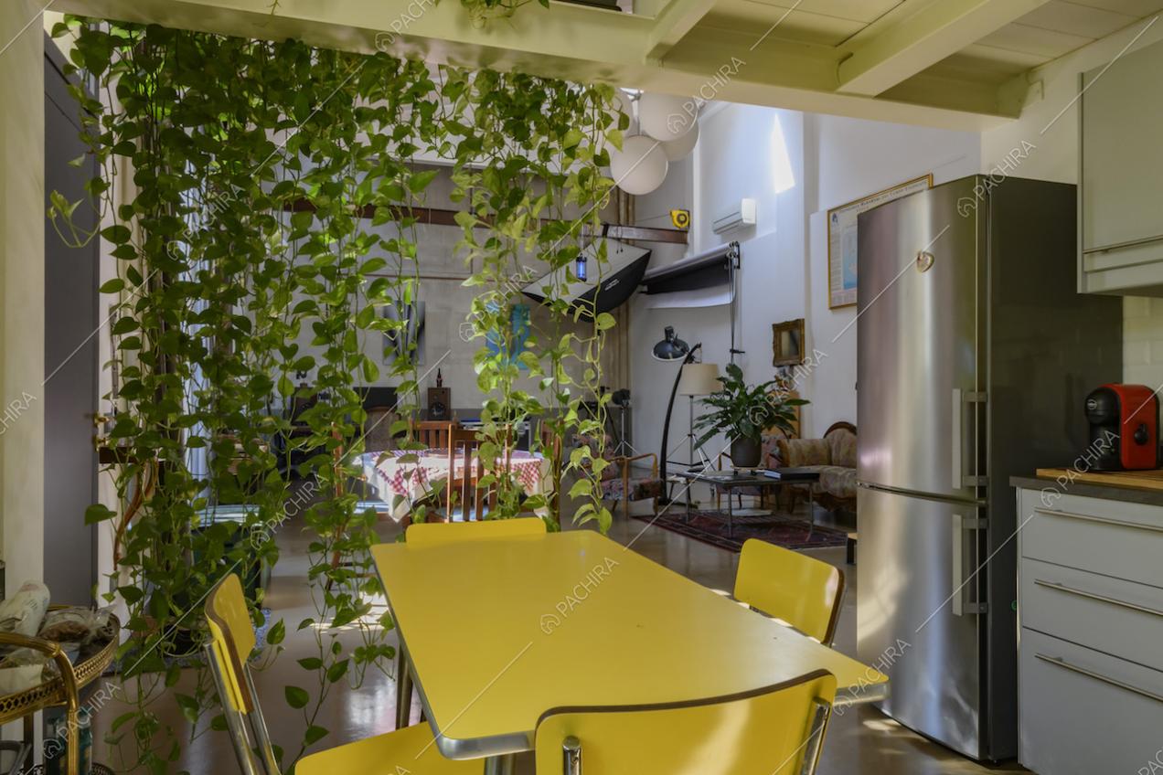 Tavolo e sedie color giallo, frigorifero in acciaio e piante