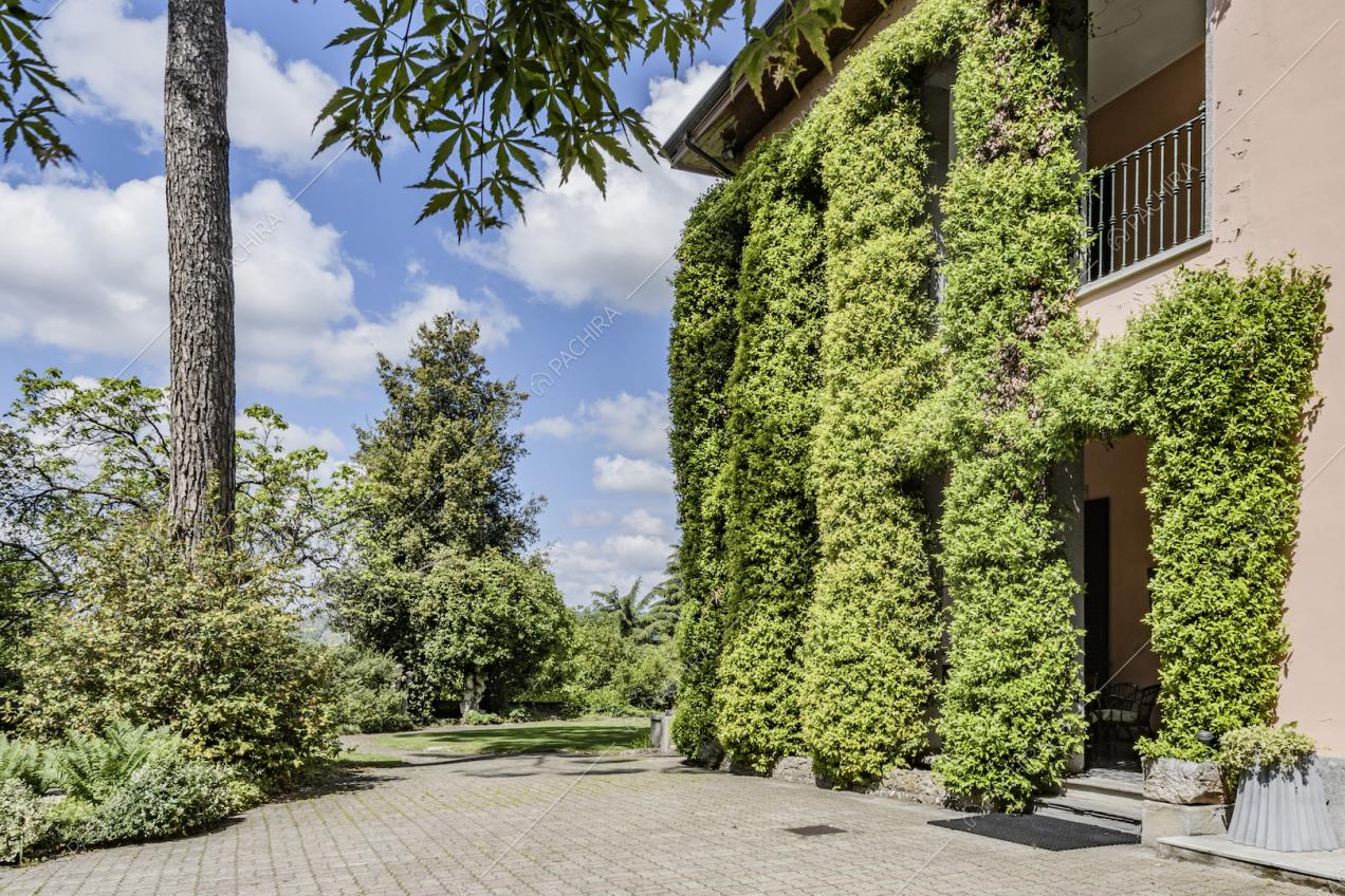 Dettagli del verde che circonda la villa