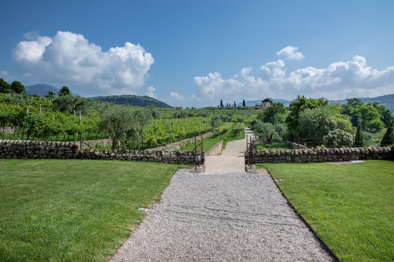 Vialetto in ghiaia per uscire dalla location e vista panoramica sui colli veneti