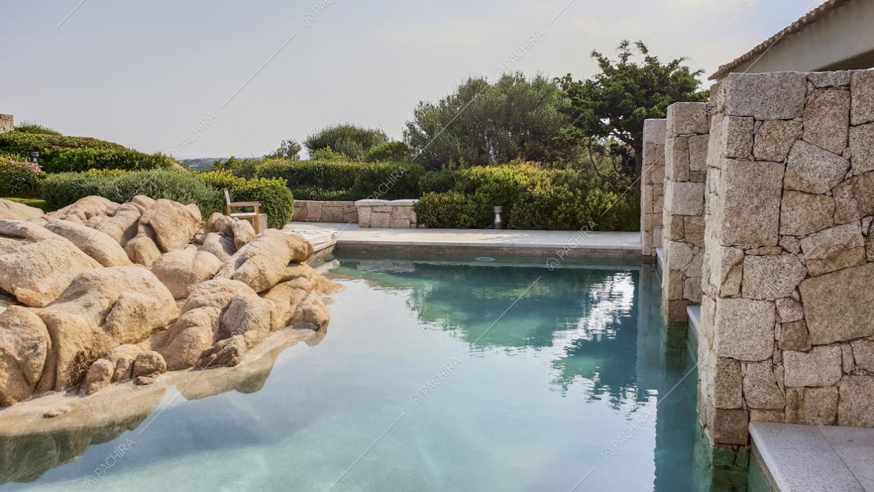 Piante, rocce ed elementi architettonici in pietra circondano la piscina