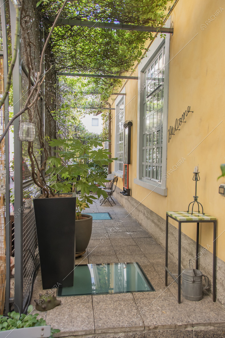 Veranda con piante in vaso e annaffiatoio vintage in metallo