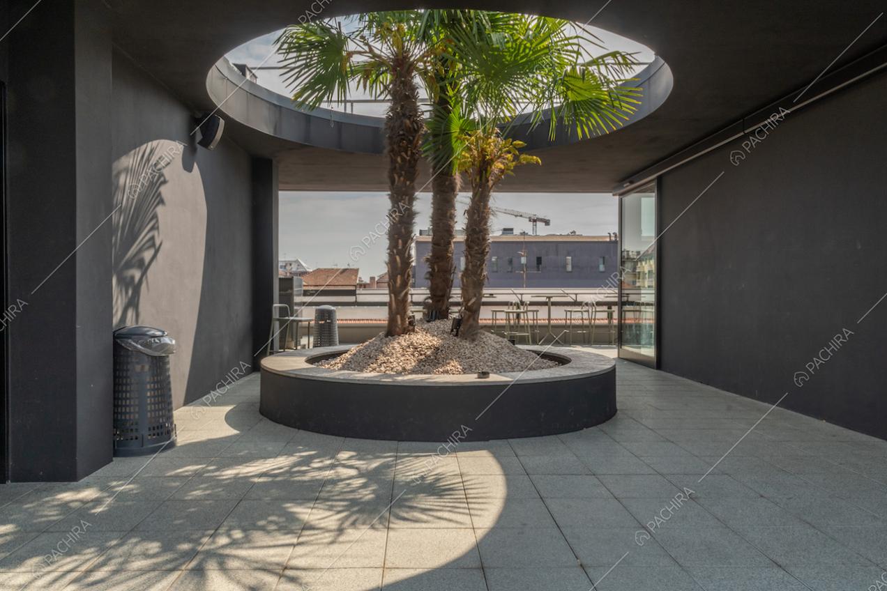 Sulla terrazza, veranda con ampia aiuola con palme, pareti e tetto neri