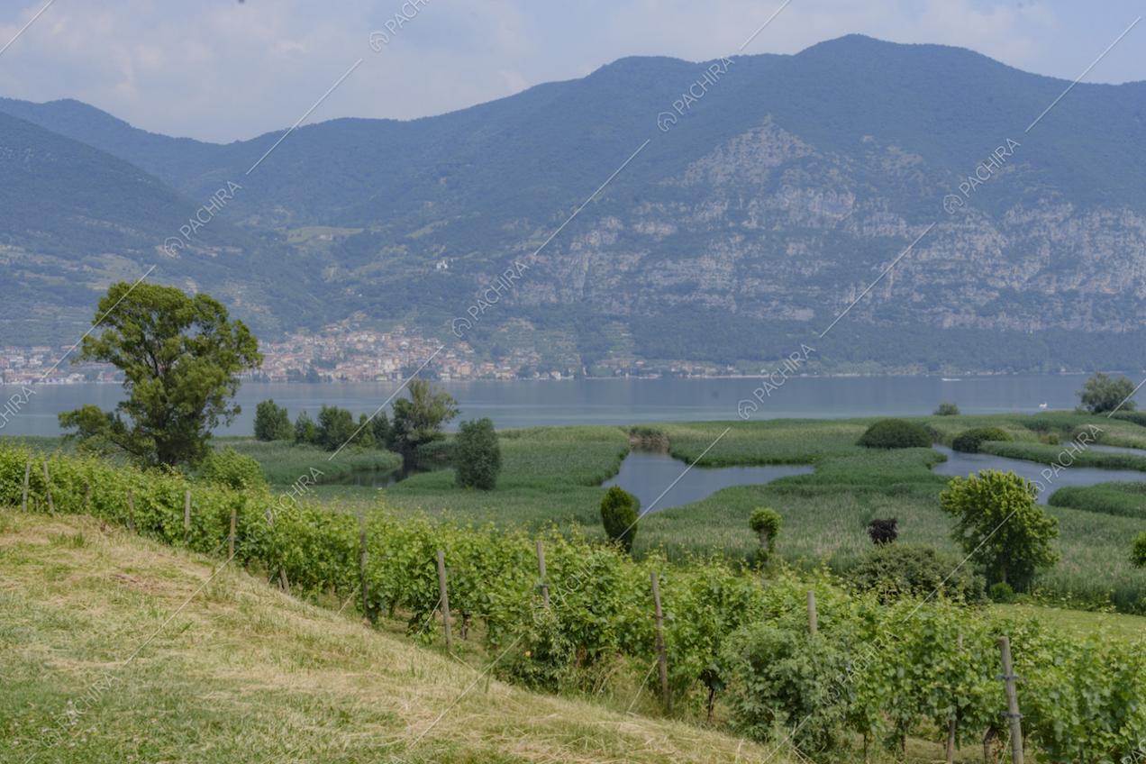 Montagne, lago e vigneti intorno alla Location Senecio