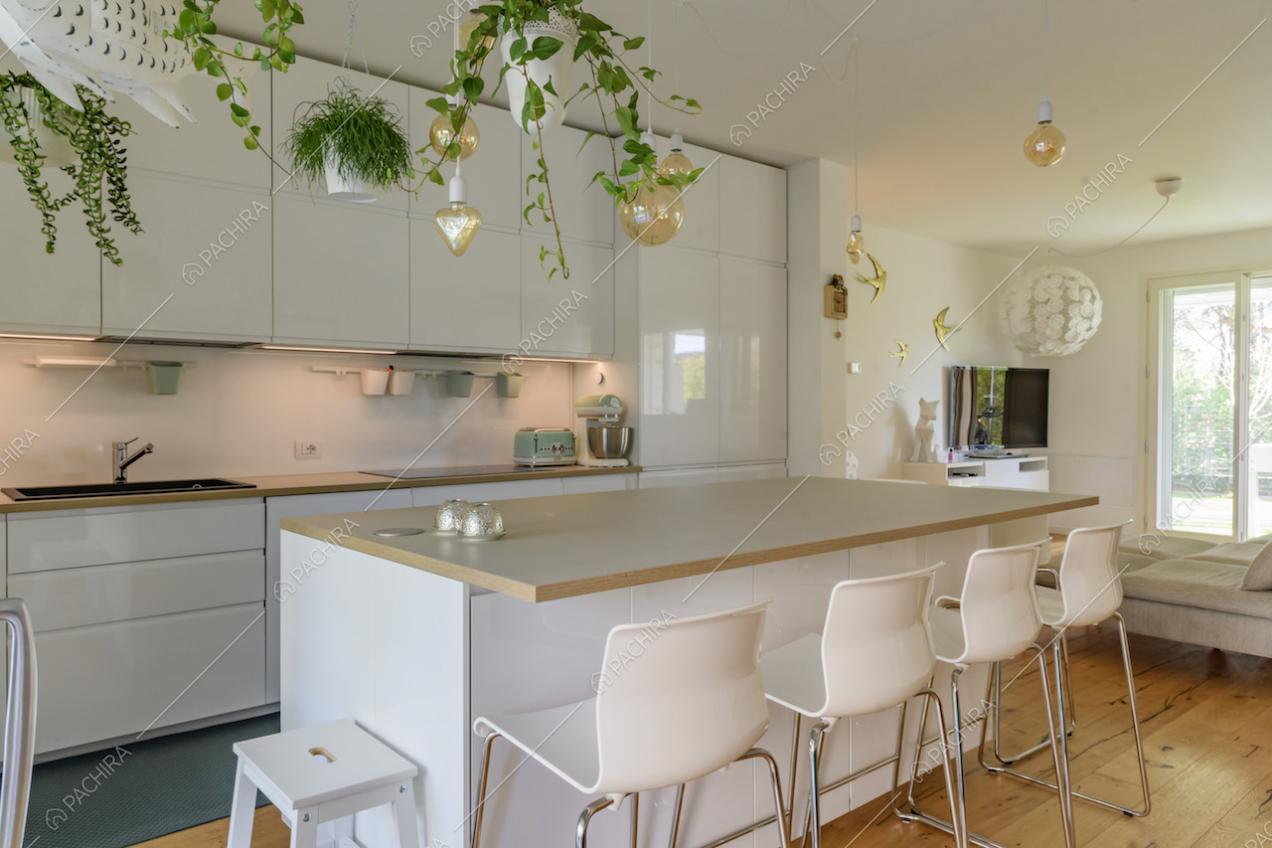 Isola della cucina con bancone e piante pendenti