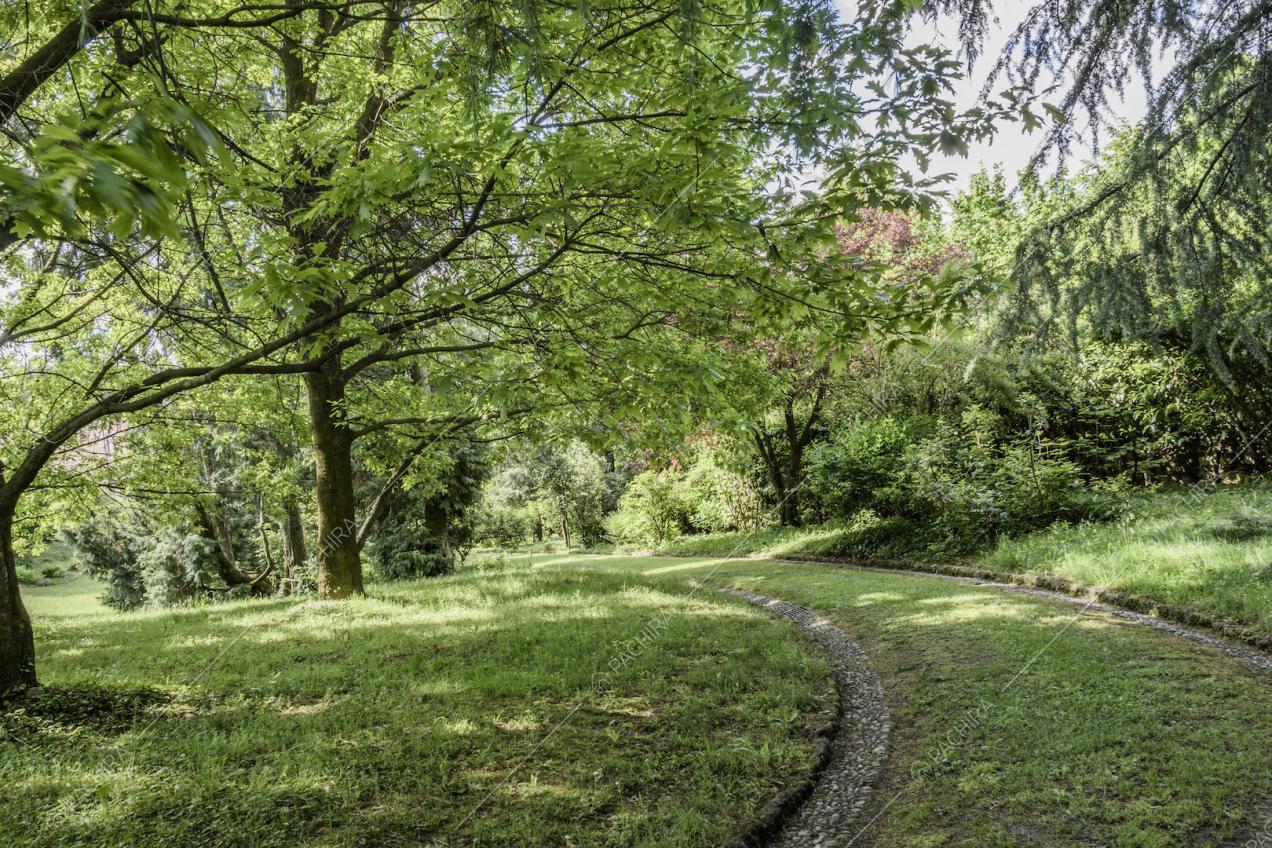 Verde che circonda la villa