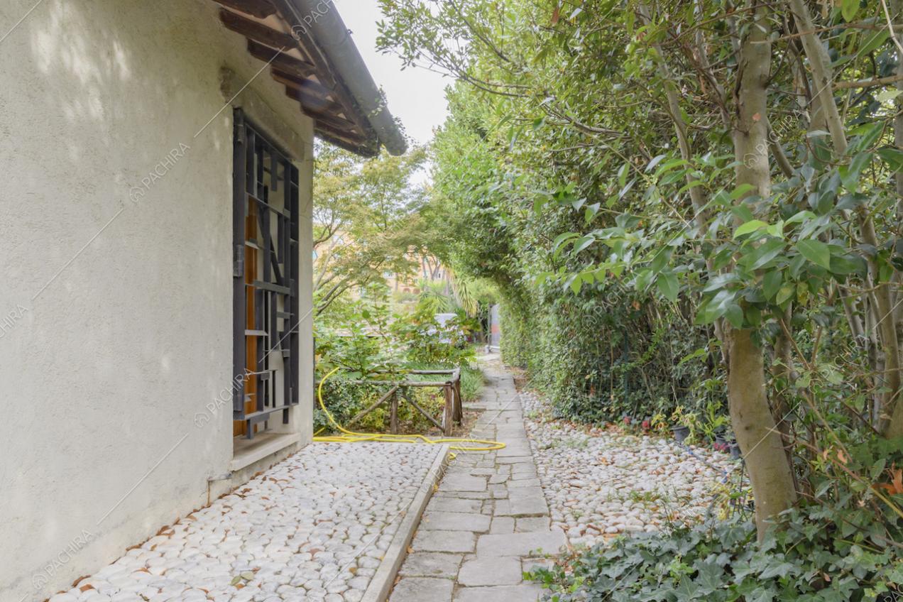 Angolo di giardino con piante su un lato della villa 