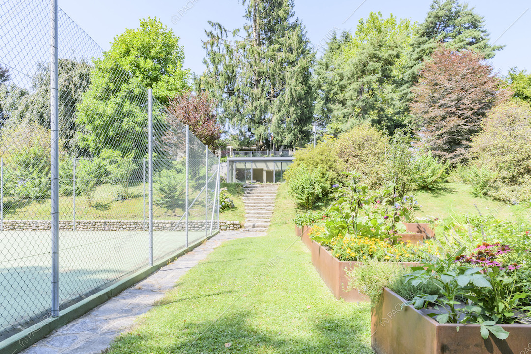 Rete di recinzione del campo da tennis, alberi e piante
