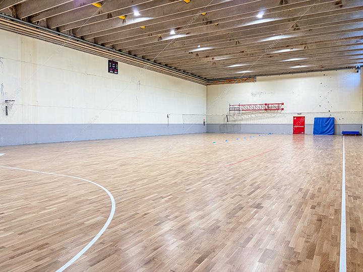 Campo da pallavolo della dimora storica Ande, location in stile classico a Monza