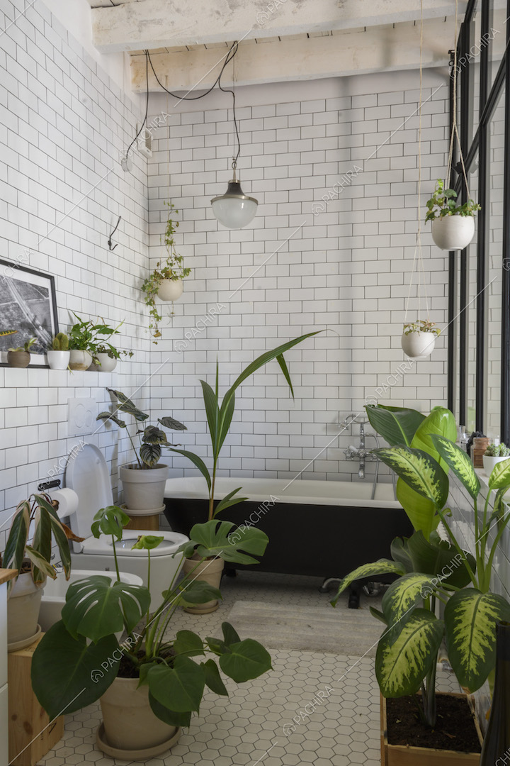 Bagno rivestito in piastrelle bianche 