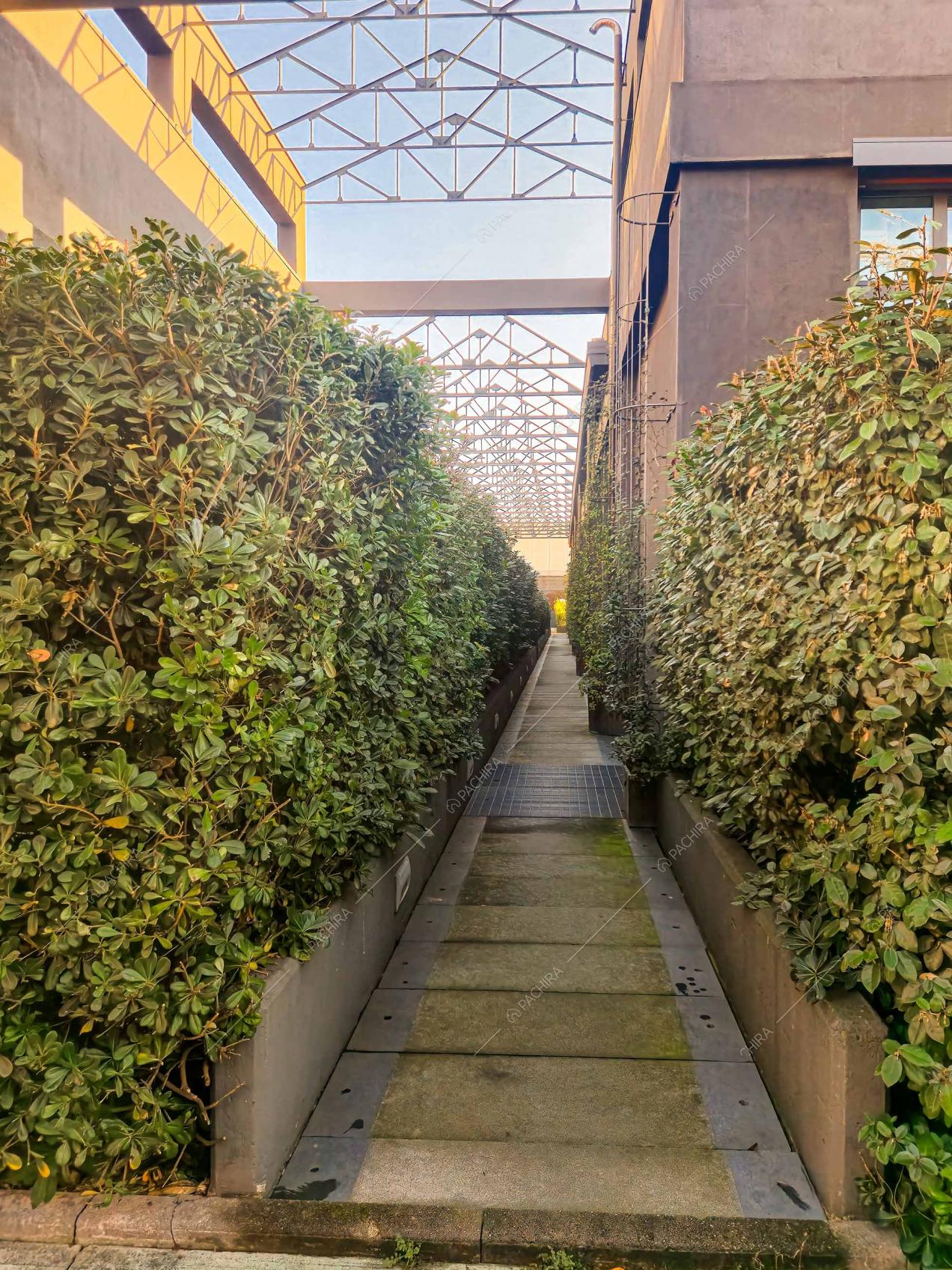 Vialetto della location Drina, loft in stile moderno a Milano