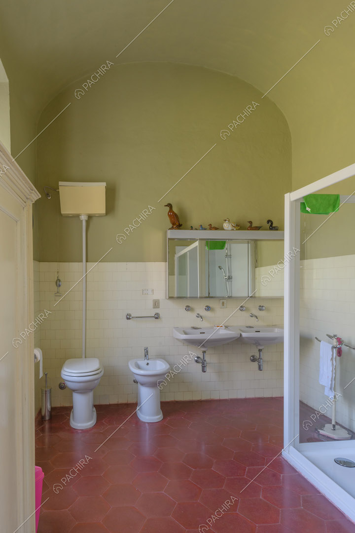 Grande bagno con pareti e soffitto verdi, pavimento in cementine rosse e doccia