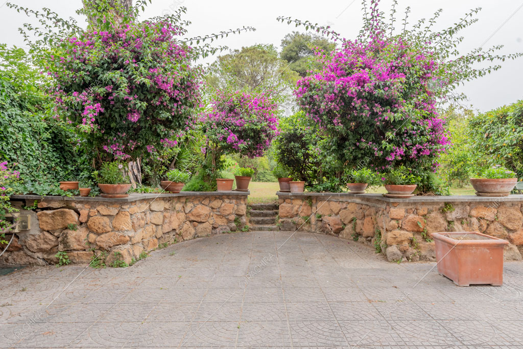 Cortile della villa Murray, location in stile contemporaneo a Roma