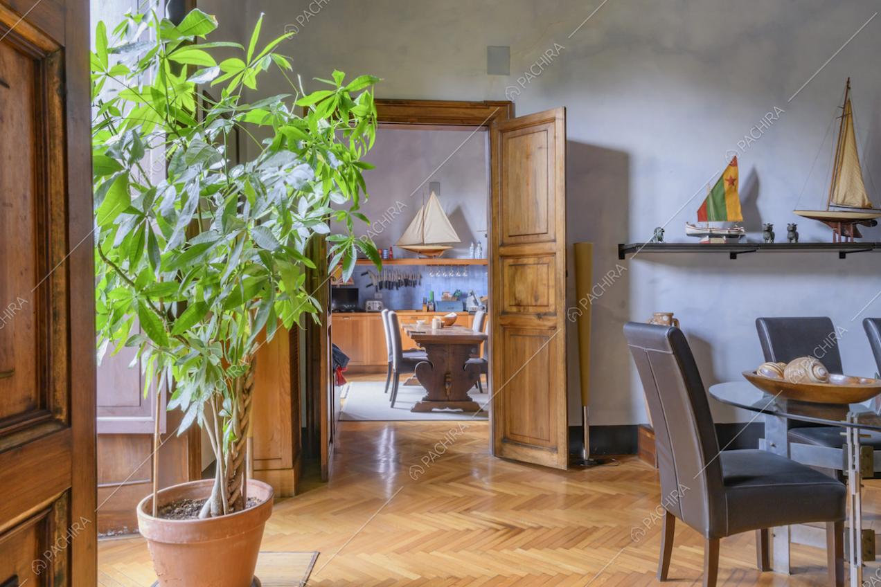 Alta pianta da interni, parquet e porte in legno scuro